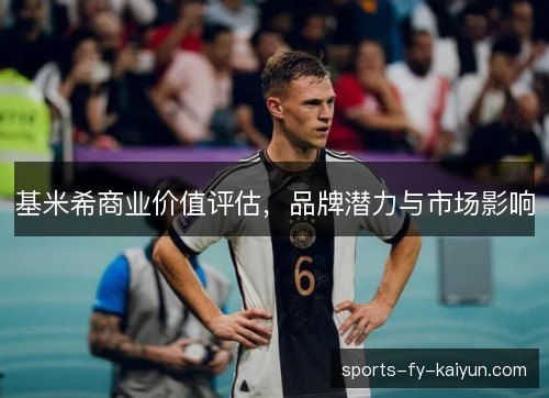 基米希商业价值评估,品牌潜力与市场影响 基米希商业价值评估,品牌潜力与市场影响
